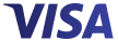 Visa Payment